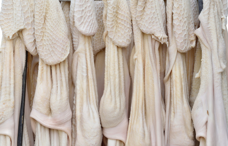 Frozen raw cow tripe