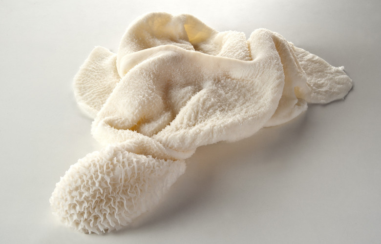 Semi-cooked vacuum-packed veal tripe