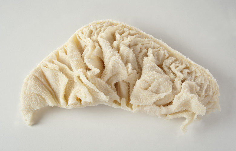 Centopelle bovino precotto sottovuoto congelato